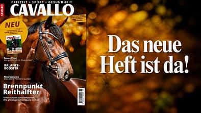 Die CAVALLO-Themen im November 2026