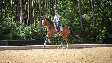 Das Foto zeigt Antonia Baumgart auf einem braunen Warmblutpferd beim Dressurtraining auf einem Sandreitplatz. Sichtbar sind Dressursattel, Sattelunterlage und Trensenzaum am Pferd sowie Gamaschen an allen Beinen; die Reiterin trägt Reithelm und Reitbekleidung.