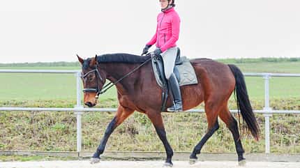 cav-201902-knie-uebungen-lir8565-v-amendo (jpg) cav-201902-knie-uebungen-lir8565-v-amendo (jpg)