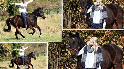 CAV Seelenpferd Lara Knapp CAV Seelenpferd Lara Knapp