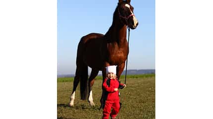 CAV Seelenpferd Sylvia Kunze CAV Seelenpferd Sylvia Kunze