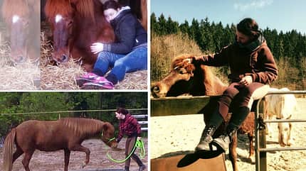 CAV Seelenpferd Kimberly Lehmeier CAV Seelenpferd Kimberly Lehmeier