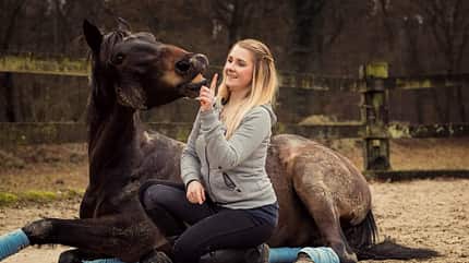 CAV Seelenpferd Weena Lier CAV Seelenpferd Weena Lier