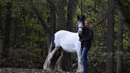 CAV Seelenpferd Christina Andresen CAV Seelenpferd Christina Andresen