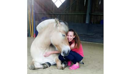 CAV Seelenpferd Anika Eden CAV Seelenpferd Anika Eden