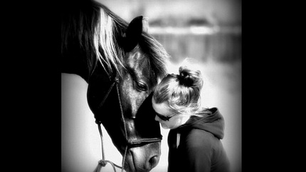 CAV Seelenpferd Conny CAV Seelenpferd Conny