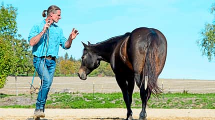 cav-201812-western-liberty-2-sensibilisierung-lir5683 (jpg)