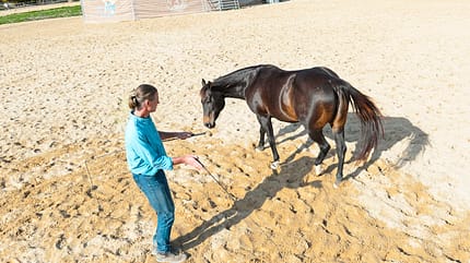 cav-201812-western-liberty-5-balance-und-form-lir6336 (jpg)