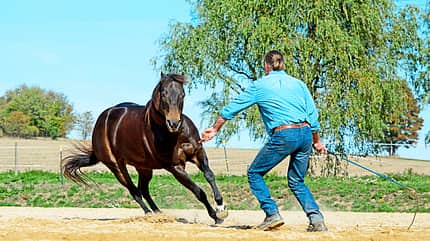 cav-201812-western-liberty-4-richtungskontrolle-lir5954 (jpg)