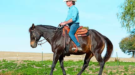 cav-201812-western-liberty-TEASER-aufmacher-TSP-lir6621 (jpg)