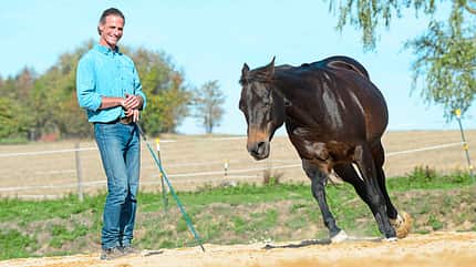 cav-201812-western-liberty-mit-TEASER-5-balance-und-form-lir6286 (jpg)