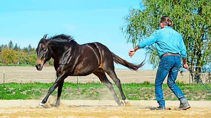 cav-201812-western-liberty-3-bewegungskontrolle-lir5958 (jpg)