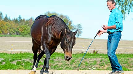 cav-201812-western-liberty-5-balance-und-form-lir6100 (jpg)
