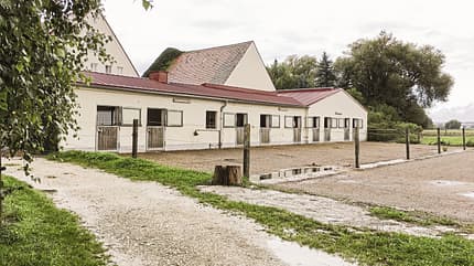 CAV Reitschultest Ingolstadt Badermühle 1 CAV Reitschultest Ingolstadt Badermühle 1