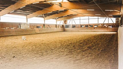 CAV Reitschultest Kassel Ullrich 2 CAV Reitschultest Kassel Ullrich 2
