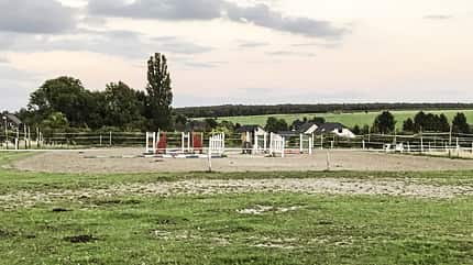 CAV Reitschultest Aachen Sonnenschein 1 CAV Reitschultest Aachen Sonnenschein 1