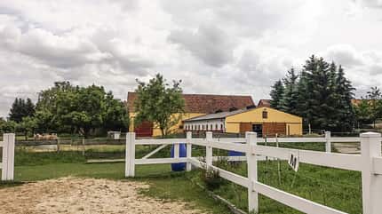 CAV Reitschultest Altmark Four Side Ranch 1 CAV Reitschultest Altmark Four Side Ranch 1