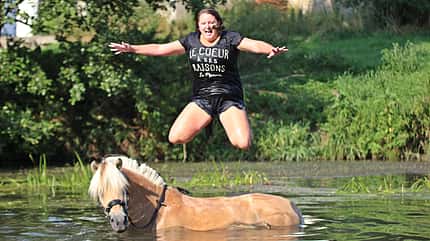 CAV Fotowettbewerb BR Pferde baden Theresa Losert CAV Fotowettbewerb BR Pferde baden Theresa Losert
