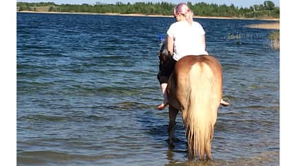 CAV Fotowettbewerb BR Pferde baden Jasmin Hanke CAV Fotowettbewerb BR Pferde baden Jasmin Hanke
