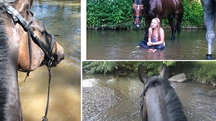 CAV Fotowettbewerb BR Pferde baden Katja Etzel CAV Fotowettbewerb BR Pferde baden Katja Etzel
