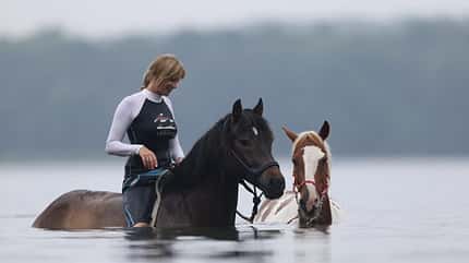 CAV Fotowettbewerb BR Pferde baden Britta Schulze CAV Fotowettbewerb BR Pferde baden Britta Schulze