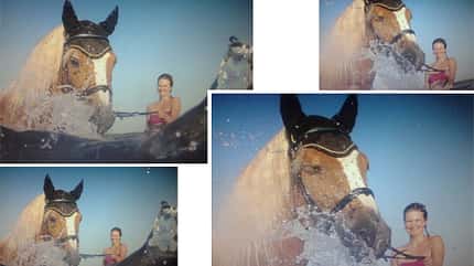 CAV Fotowettbewerb BR Pferde baden Sylvia Schumann CAV Fotowettbewerb BR Pferde baden Sylvia Schumann