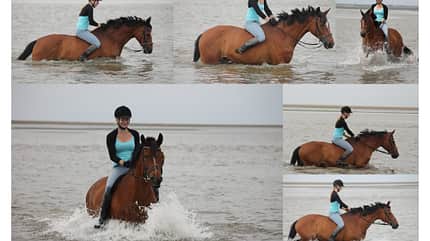CAV Fotowettbewerb BR Pferde baden Justine D. Blöcker CAV Fotowettbewerb BR Pferde baden Justine D. Blöcker
