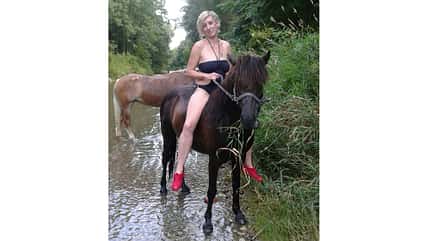 CAV Fotowettbewerb BR Pferde baden hasikrati CAV Fotowettbewerb BR Pferde baden hasikrati