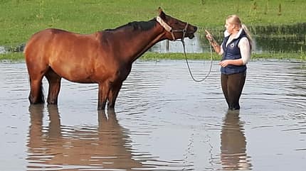CAV Fotowettbewerb BR Pferde baden Anja Kohnen CAV Fotowettbewerb BR Pferde baden Anja Kohnen