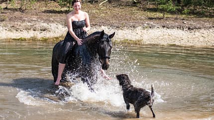 CAV Fotowettbewerb BR Pferde baden Anja Lemmnitzer CAV Fotowettbewerb BR Pferde baden Anja Lemmnitzer