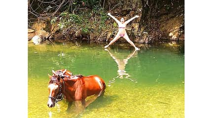CAV Fotowettbewerb BR Pferde baden Jenny Li CAV Fotowettbewerb BR Pferde baden Jenny Li