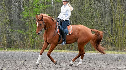 CAV Seitengänge 9 CAV Seitengänge 9