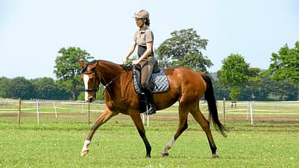 CAV Zügelspannung 7 CAV Zügelspannung 7