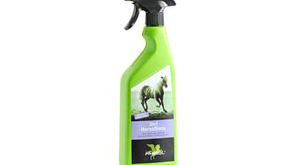 CAV Fellspray Mähnenspray Schweifspray Pflege Test - BENSE & EICKE Parisol 3in1 HorseGloss CAV Fellspray Mähnenspray Schweifspray Pflege Test - BENSE & EICKE Parisol 3in1 HorseGloss