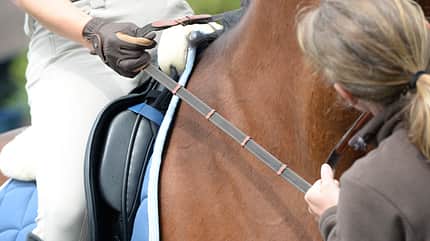 CAV Übergänge richtig reiten Dressur 2 CAV Übergänge richtig reiten Dressur 2