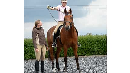 CAV Übergänge richtig reiten Dressur 7 CAV Übergänge richtig reiten Dressur 7