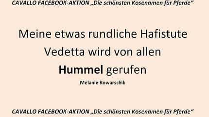 CAV Kosenamen Leserfotos 2014 - Hummel