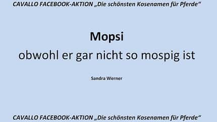 CAV Kosenamen Leserfotos 2014 - Mopsi