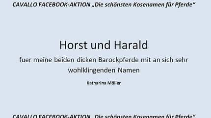 CAV Kosenamen Leserfotos 2014 - Horst und Harald