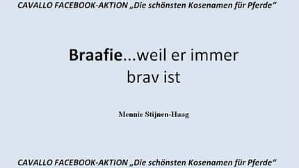CAV Kosenamen Leserfotos 2014 - Braafi