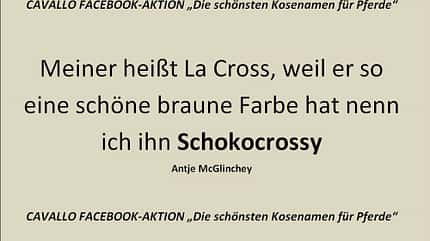 CAV Kosenamen Leserfotos 2014 - Schokocrossy