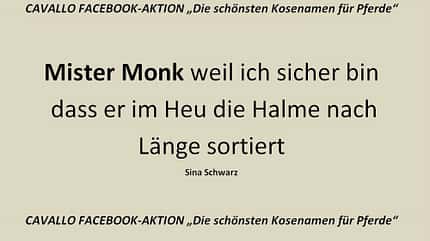 CAV Kosenamen Leserfotos 2014 - Mister Monk