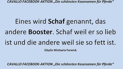 CAV Kosenamen Leserfotos 2014 - Schaf und Booster