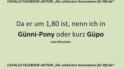 CAV Kosenamen Leserfotos 2014 - Günni-Pony