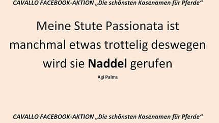 CAV Kosenamen Leserfotos 2014 - Naddel