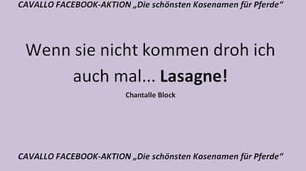 CAV Kosenamen Leserfotos 2014 - Lasagne
