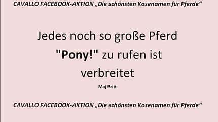 CAV Kosenamen Leserfotos 2014 - Pony
