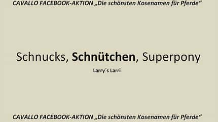 CAV Kosenamen Leserfotos 2014 - Schnütchen