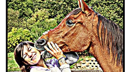 CAV Schmuse-Bilder 16 CAV Schmuse-Bilder 16