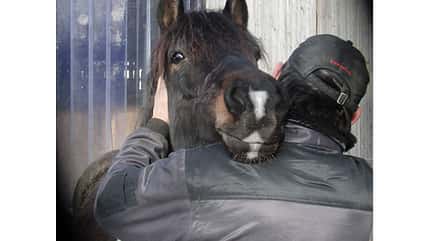 CAV Schmuse-Bilder 6 CAV Schmuse-Bilder 6